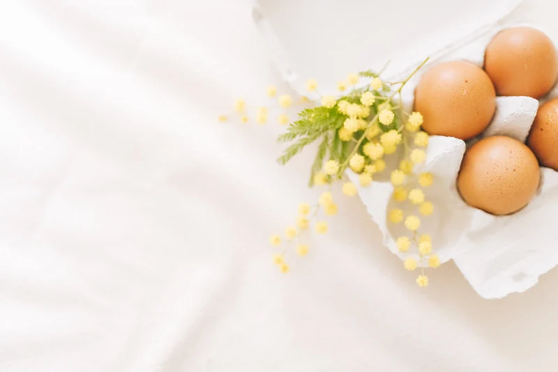 CKN Food - Egg Products